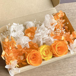 プリザーブドフラワー ティファニーブルーバラ 2輪＆ティファニー