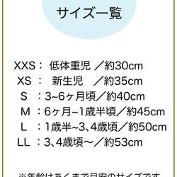  第8張的照片