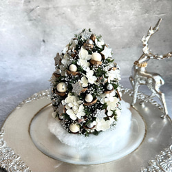 星空のハーバリウム Midnight Blue ハーバリウム・植物標本