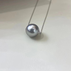 【高級】タヒチ黒蝶真珠　一粒ネックレス11-12mm k18 1枚目の画像