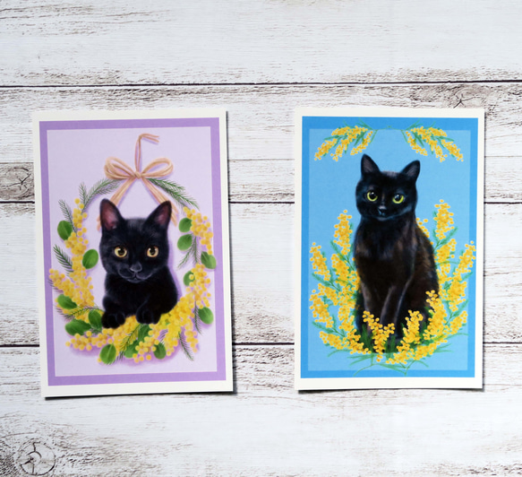 ポストカード2枚組　ミモザと黒猫 1枚目の画像