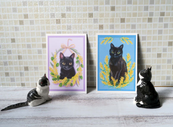ポストカード2枚組　ミモザと黒猫 4枚目の画像