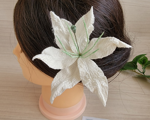 29c78d57ab012e6d659d113711becd