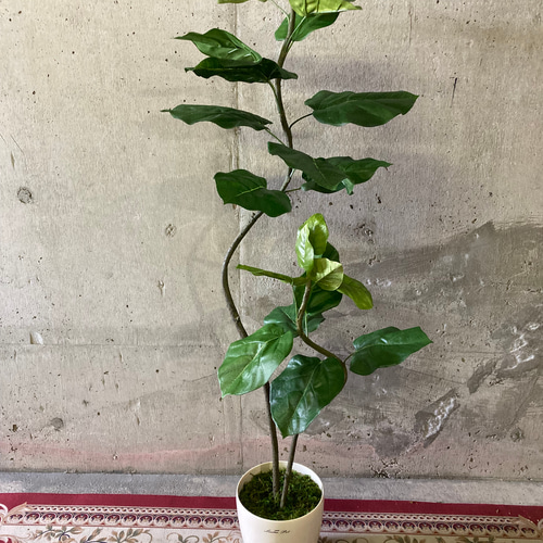 光触媒 人工観葉植物 ウォールグリーン フェイクグリーン 光触媒 人工観葉植物 ウォールグリーン フェイクグリーン