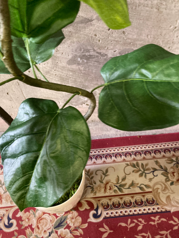 光触媒　人工観葉植物　ウォールグリーン　フェイクグリーン　クネクネウンベラータwa 10枚目の画像