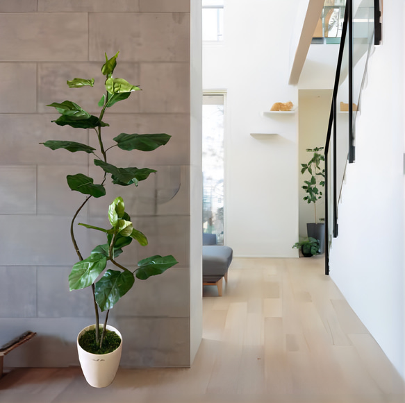 光触媒　人工観葉植物　ウォールグリーン　フェイクグリーン　クネクネウンベラータwa 2枚目の画像