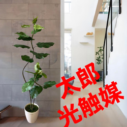 光触媒　人工観葉植物　ウォールグリーン　フェイクグリーン　壁掛け5046 光触媒 人工観葉植物 ウォールグリーン フェイクグリーン 壁掛け
