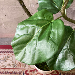 光触媒　人工観葉植物　ウォールグリーン　フェイクグリーン　クネクネウンベラータwa 8枚目の画像