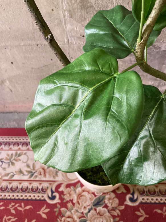 光触媒　人工観葉植物　ウォールグリーン　フェイクグリーン　クネクネウンベラータwa 8枚目の画像