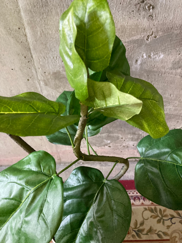 光触媒　人工観葉植物　ウォールグリーン　フェイクグリーン　クネクネウンベラータwa 7枚目の画像