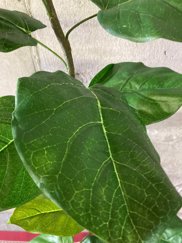 光触媒　人工観葉植物　ウォールグリーン　フェイクグリーン　クネクネウンベラータwa 6枚目の画像