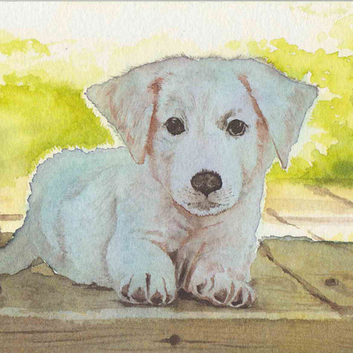 アナログ水彩画】動物、ペットの写実画【手描きオーダーメイド