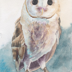 原画 アート 絵画 画家 フクロウ 梟 鳥 雛鳥 小鳥 縁起物 動物 白い鳥 雨 原画 梟 フクロウ 鳥 動物 現代アート 絵画 画家 開運 縁起物