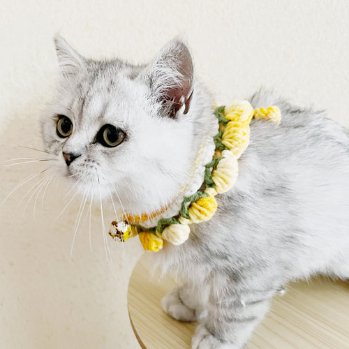 クリスマスシリーズ(リボン)わんちゃん猫ちゃん用襟つき首輪 リボン