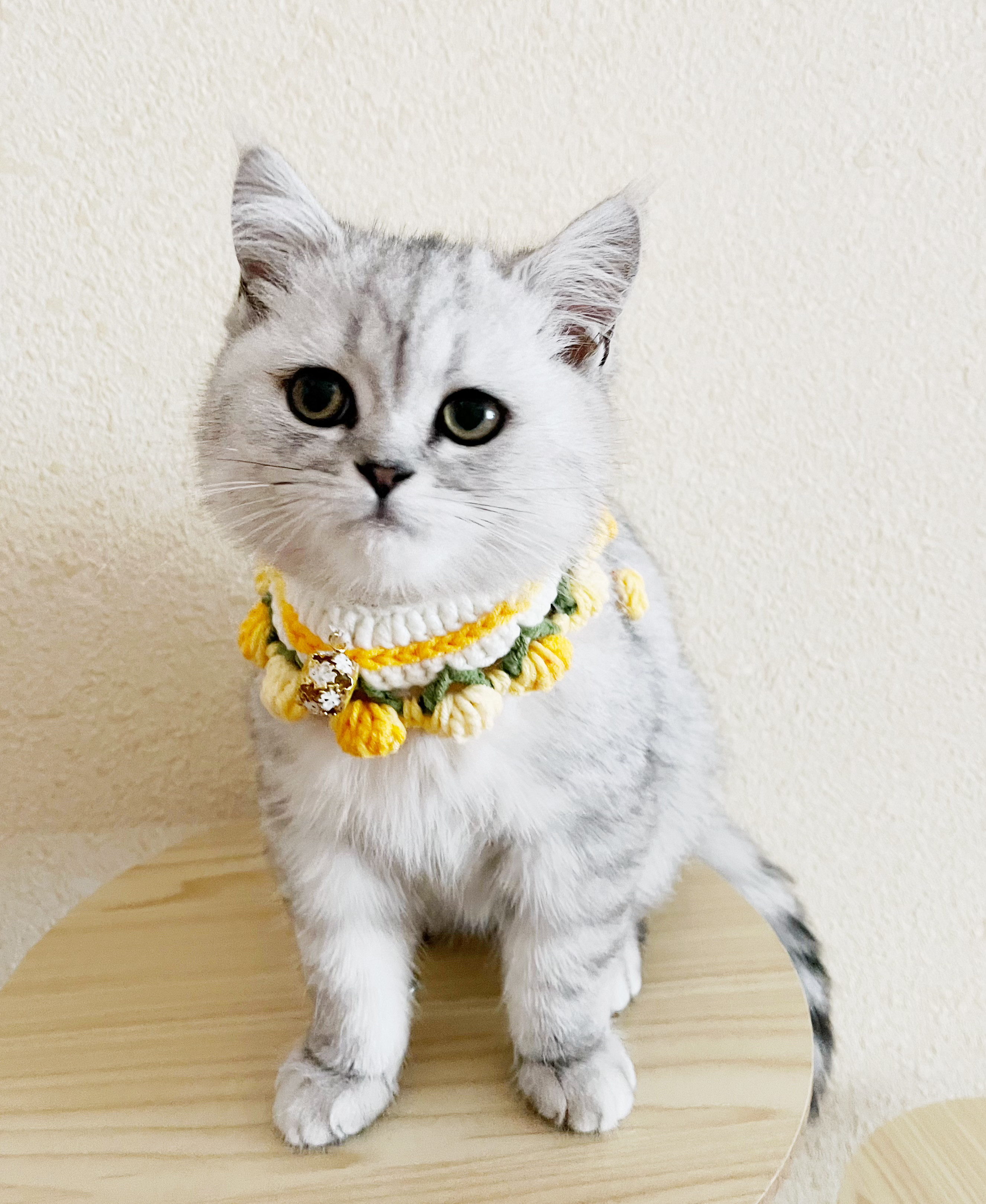 【まゆゆ】ネコ首輪　追加分 楽天市場】Cat Amo.k 結 (ゆい) 猫首輪 NYAN VOYAGE-ニャン