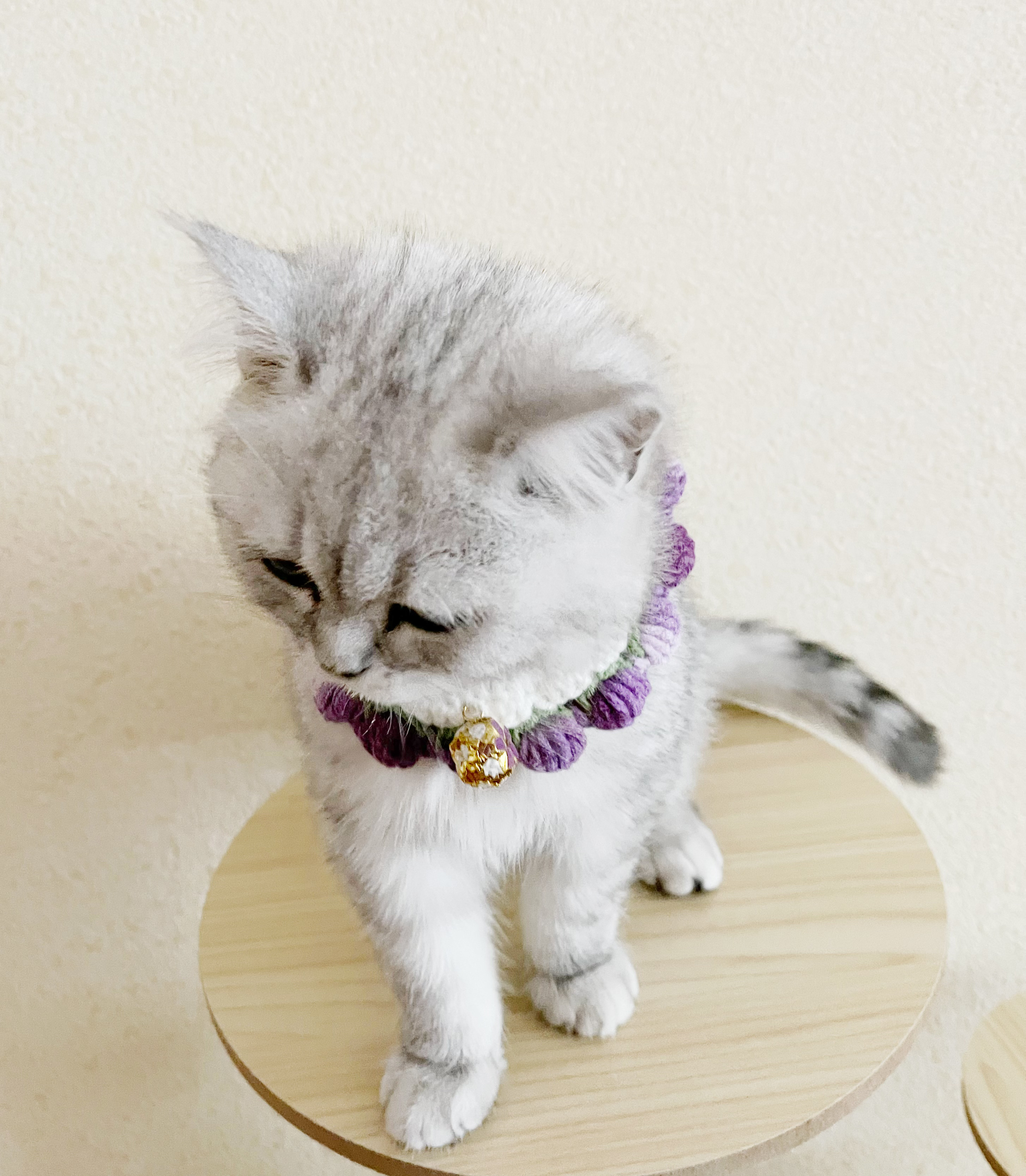 短毛シュシュ(オレンジ②)わんちゃん猫ちゃん用 （ゆう【大阪