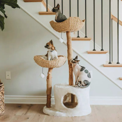 雲にのる】樹洞付き天然籐ラタンと無垢材キャットタワー 木製おしゃれ