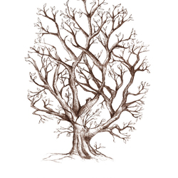 「カントリーツリー」ウェディングツリー　結婚証明書　ウェルカムスタンプボード　説明書付き　スタンプ同時購入可 7枚目の画像