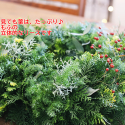 みり様専用12/20出荷：たっぷりの針葉樹!!GREENと野バラの実のXmasリース　生!!　Lサイズ約40㎝ 4枚目の画像