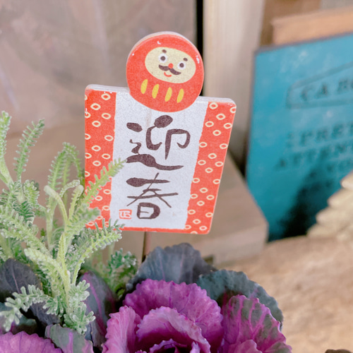 かのん様ご予約分75☆ミニ葉牡丹の犇☆ギッシリ詰まったお花畑☆可愛い寄せ植え☆ Amazon | 葉牡丹 いろは 斑入り 苗 2.5号 ハボタン ミニ葉牡丹