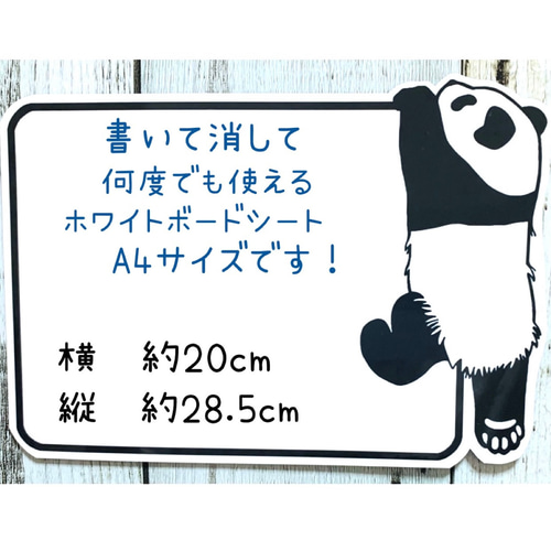 A4サイズの書いて消して何度も使えるよじ登りパンダのホワイトシート