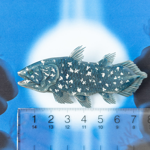 シーラカンス＊ブローチ (マグネットにも変更可) ブローチ ねぎねぎ