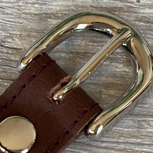 犬首輪 犬用首輪 おしゃれ首輪 小型犬 Mサイズ パレットカラー d0008