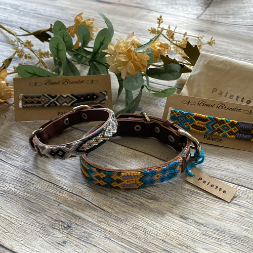 犬首輪 犬用首輪 おしゃれ首輪 小型犬 Mサイズ パレットカラー