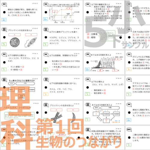 中学受験 暗記カード【5年下 全セット 社会・理科1-18回】 組分け