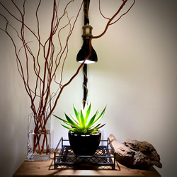 植物育成LEDライトスタンド［オーク］回転式サーキュレーター、LED付