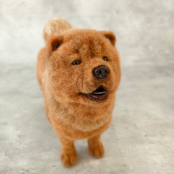 YT様　甲斐犬　羊毛フェルト　確認用 羊毛フェルト 甲斐犬 羊毛フェルト Kingこうた 通販 16436002