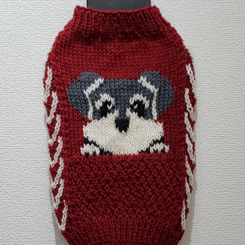 わんちゃん 手編み セーター 愛犬に編み物の犬服を編みました 【ワンチャン