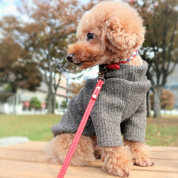 ダックスサイズ★チョコレートブラウン色のリブニット 7枚目の画像