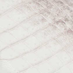 ヒマラヤ クロコダイル 長財布 一枚革 ゴールドファスナー メンズ レディース 耐久性と個性を兼ね備えたロングウォレット 5枚目の画像