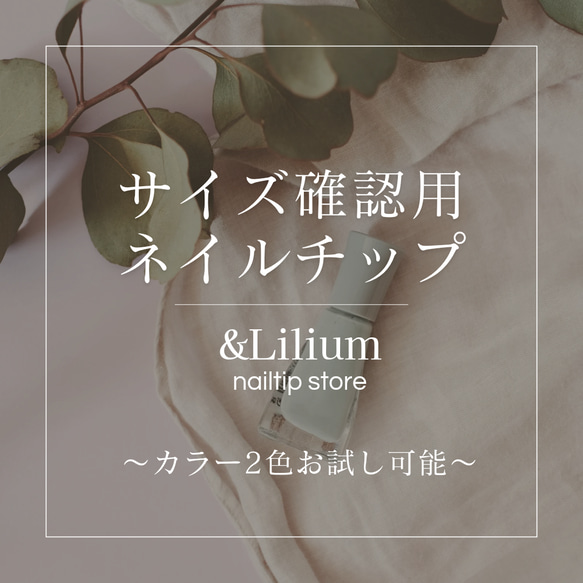 サイズ確認用クリアネイルチップ ネイルチップ（つけ爪） &Lilium 