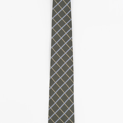 重厚で美しい高級ネクタイ【新商品】シルクブライトタイ　SILK  TIE　NTS-807 2枚目の画像