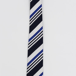 重厚で美しい高級ネクタイ【新商品】シルクブライトタイ　SILK  TIE　NTS-808 2枚目の画像