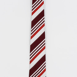 重厚で美しい高級ネクタイ【新商品】シルクブライトタイ　SILK  TIE　NTS-809 2枚目の画像