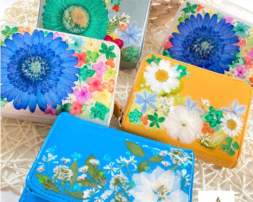 【りゅりゅりゅ様 オーダー】コンパクト財布 ASUMEDERU】itakuraドラーロコンパクト財布 | 藤巻百貨店