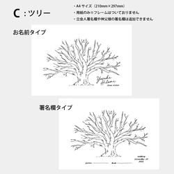  第6張的照片