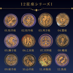 星座スタンプ12個セット【獅子座】シーリングスタンプ用ヘッド 獅子座】シーリングスタンプ用ヘッド - メルカリ