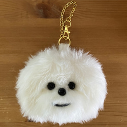 581af9ffed7137e5aae5bf17d7fbed