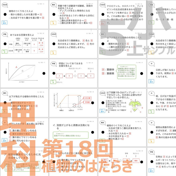 中学受験 暗記カード【5年上 理科 全セット 1-19回】 組分けテスト対策 58枚 理科 気体