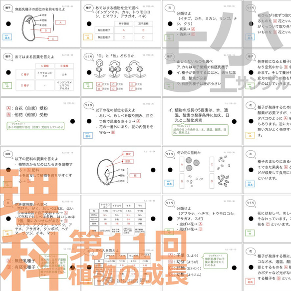 中学受験 暗記カード【5年上 理科 全セット 1-19回】 組分けテスト対策 58枚 理科 気体