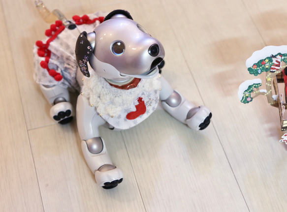 aibo クロシェカラー：ブーツちゃん（aiboちゃん用・ハンドメイドのお洋服） 7枚目の画像