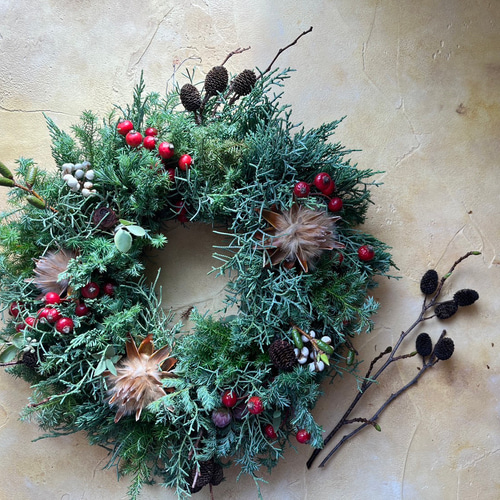針葉樹のフレッシュクリスマスリース（M直径35cm）！ユーカリや