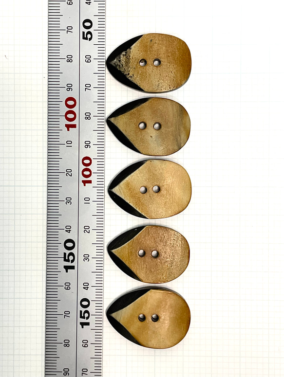 <送料無料>  水牛角ボタン　CO 37 5枚目の画像