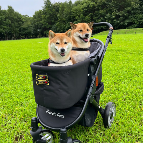 S.Mサイズ】愛犬 ネームワッペン 刺繍 julius-k9 ユリウスk9 対応