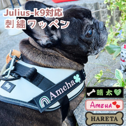 S.Mサイズ】愛犬 ネームワッペン 刺繍 julius-k9 ユリウスk9