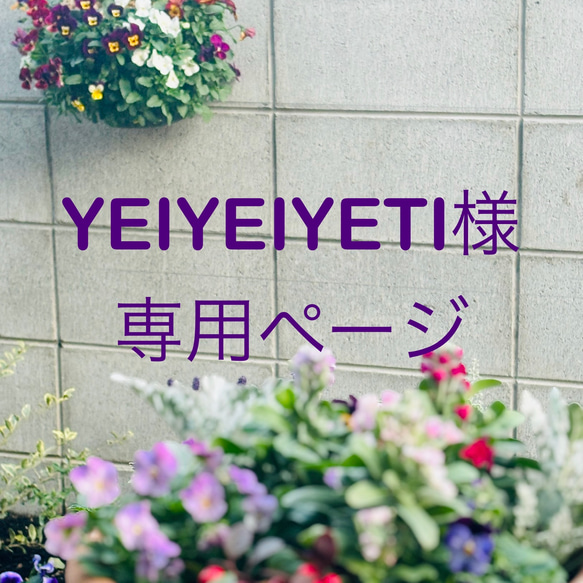 【YEIYEIYETI様専用ページ】黒のトワルドジュイティーポット 1枚目の画像